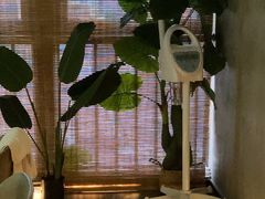 -施奈儿.洗头頭療.按摩SPA.采耳(上梅林店)