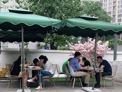 -董小西的凉皮和椒麻鸡(三元桥店)