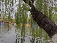 -翠湖公园