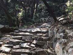 -阳台山自然风景区