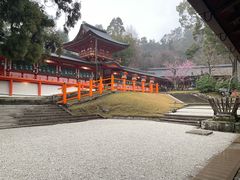 -奈良公园