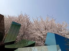 -龙美术馆(西岸馆)