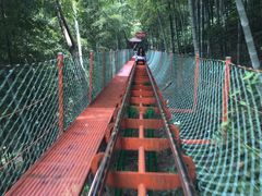 -藏龙百瀑风景区