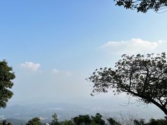 -广州市帽峰山景区