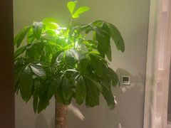 -浅深(世茂滨江精品店)