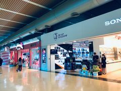 -升恒昌免税商店(桃园国际机场店)