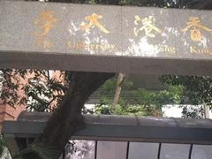 -香港大学