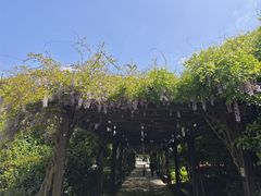 -白马涧龙池景区