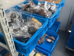 -来噻布布 Lets BUBU