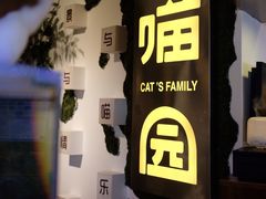 -喵园·猫主题咖啡厅·撸猫·猫咖(国贸店)
