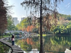 -重庆彩云湖湿地公园