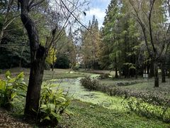 -上海滨江森林公园