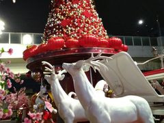 -光启城时尚购物中心