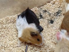 -上海昆虫博物馆