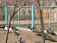 -水上乐园·欢乐世界