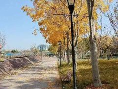 -上海山野camping·户外天幕烧烤·团建拓展营地