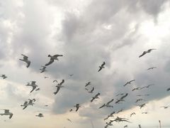 -海驴岛(荣成市)