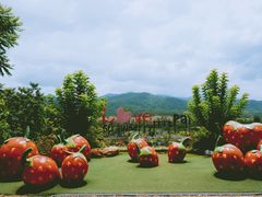 -黄色小屋