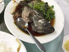 -新陶陶酒家