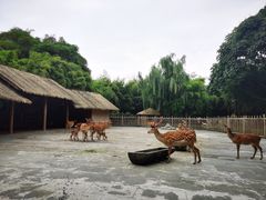 -金沙遗址博物馆