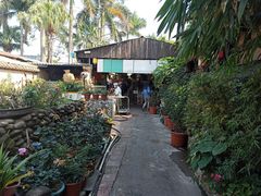 -园林美食城·本土农家菜(杨和镇店)