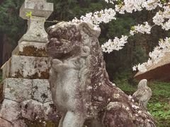 -白川乡与五箇山的合掌构造村落