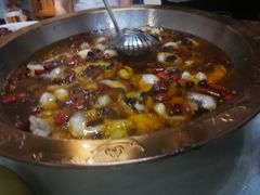 -雲蜀龙阁·金牌水煮鱼(方庄店)