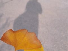 -汉景帝阳陵博物院