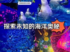 -海合安青岛极地海洋公园