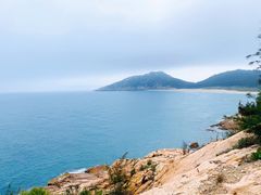 -广东惠东海龟国家级自然保护区
