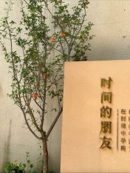 -半岛故事·法儿曼抗衰·indiba中心