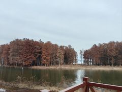 -四明湖