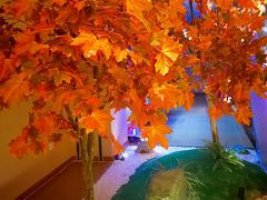 -汤泉良子(金源店)