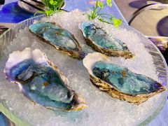 -千岛蚝高压锅生蚝·人参火锅(白云万达店)