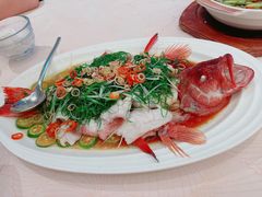-T館·花园艺术餐厅