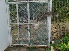 -丽泽山庄·生态怀柔菜·虹鳟鱼(红螺寺店)