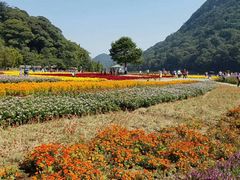 -广州市石门国家森林公园