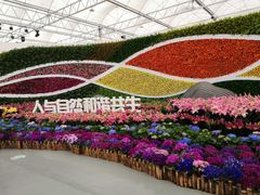 -万顷园艺世界