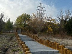 -白水寺森林公园