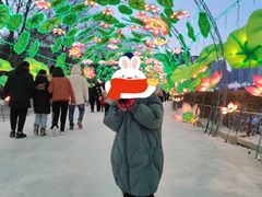 -沈阳奥体冰雪嘉年华