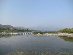 -滨河世纪广场公园