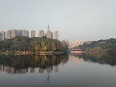 -重庆彩云湖湿地公园