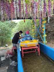 -窦王岭景区游乐场