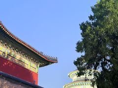 -天坛文创店