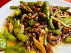 -明珠湖天鹅苑·农家菜馆