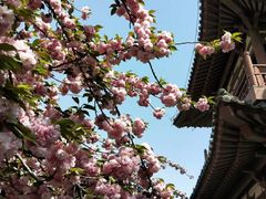-西安青龙寺遗址景区
