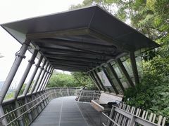 -福道
