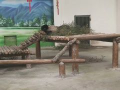 -太湖湖滨国家湿地公园-停车场