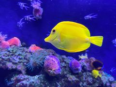 -成都浩海立方海洋公园