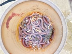 -北海金海湾红树林生态旅游区